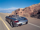 Bugatti: Porsche Carrera GT(9) | 2007-02-06 19:00:46