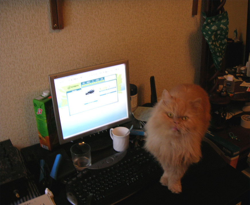 2007-03-02 13:01:12: а вот он мне постоянно мешает...