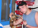 лобстер )) (2007-03-05 12:59:36)