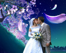  (2007-03-08 20:01:11)