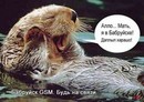 (2007-03-15 19:25:24)