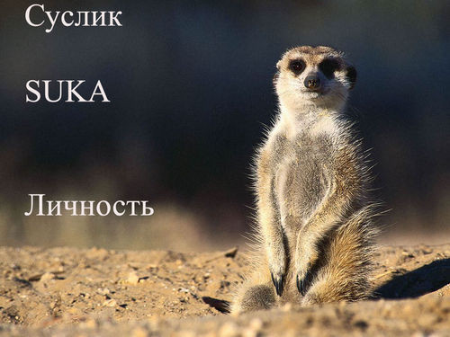 2007-03-25 15:20:08: 