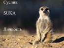  (2007-03-25 15:20:08)