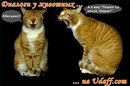 zugw: ааа | 2007-06-22 22:48:48