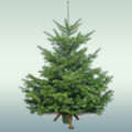 Cup:  | 2007-12-31 14:36:20