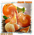 Orange Passio [by NeKuSHa] (2008-01-02 11:05:15)