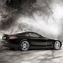 2008-02-28 19:09:17: MERSEDES-BENZ SLR McLAREN