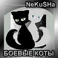 2008-10-28 05:31:07: НеКа и синдикат 'Боевые Коты' [1]