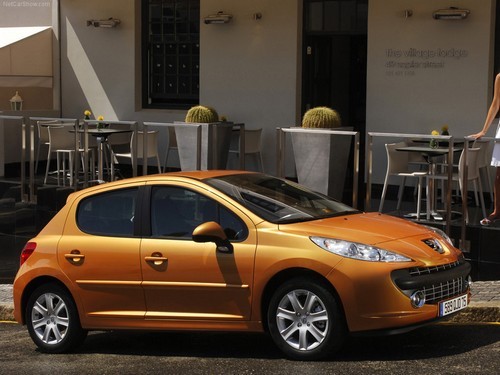 2009-01-27 14:49:51: Peugeot 207