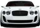 Bentley Continental Supersports (2009-02-25 15:32:23)