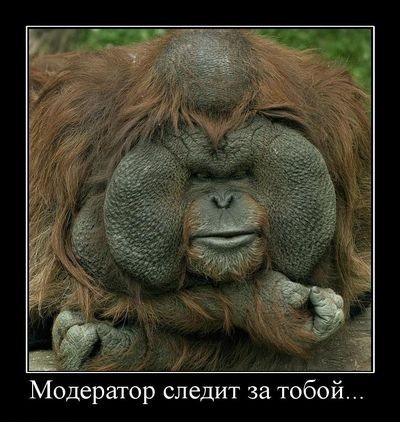 2010-02-11 13:59:39: Слежу и баню!