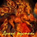 Дикий мустанг (2010-02-14 12:23:52)