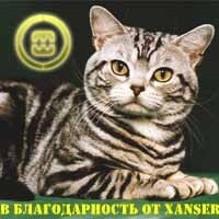 2010-06-17 00:34:40: Мадонне в благодарность от Xanser!!!