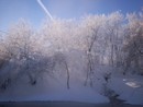 зимняя красота (2011-03-16 14:37:09)