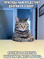 vkaraban: cat | 2016-04-21 07:36:09